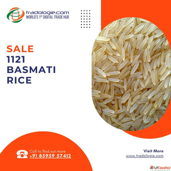 Sale 1121 Basmati Rice - Bulk Purchase from Verified Sellers
