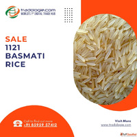 Sale 1121 Basmati Rice - Bulk Purchase from Verified Sellers