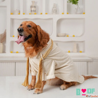 Adorable Festival Looks Dog Kurta and Dog Lehenga for Pups