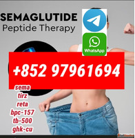 semaglutide910463-68-2 retatrutide2381089-83-2 99purity