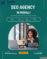 Best Digital Marketing Company In Chandigarh