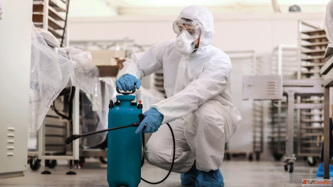 Expert Pest Control Services for Complete Protection