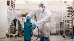 Expert Pest Control Services for Complete Protection