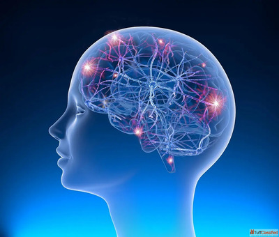 Best Neurosurgeon in DelhiNcr