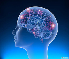 Best Neurosurgeon in DelhiNcr