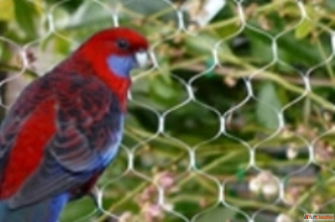 Anti Bird Net Manufacturers