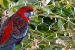 Anti Bird Net Manufacturers