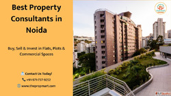 Top Property Dealers in Noida - Trusted Real Estate Solution...