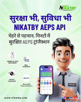 AEPS Software Provider Company