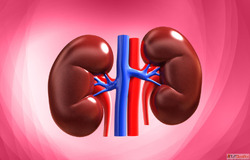 Best Homeopathy Treatment for Kidney Failure Patients