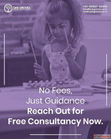 Educational Consultancy
