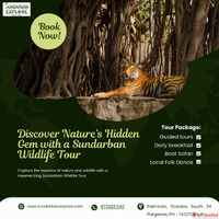 Thrilling Sundarban Wildlife Tour - Explore Nature's Pa...