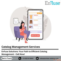 Choose EnFuse Solutions for Efficient Catalog Management