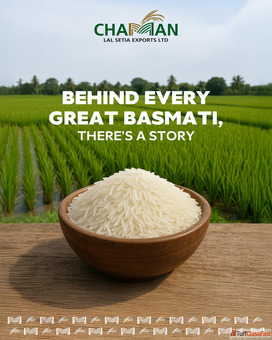 Wholesale Rice Distributors
