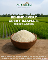 Wholesale Rice Distributors