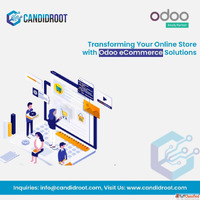 Odoo eCommerce Development Services