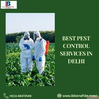 Best Pest Control Services in Delhi for Homes and Offices