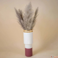 Shop Long Lasting Dry Grass Online for Home Décor Styling