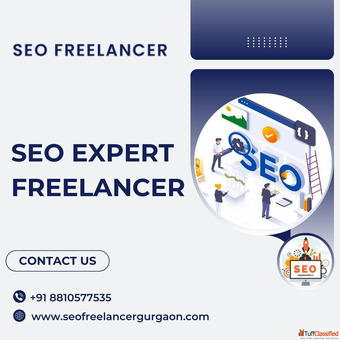 Hire the Best SEO Expert Freelancer for Your Business Growth