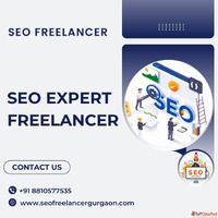 Hire the Best SEO Expert Freelancer for Your Business Growth