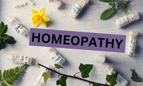 Top Homeopathy Doctors in Hyderabad DocIndia.org