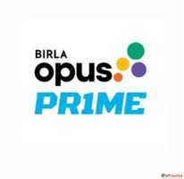 Premium Enamel Paint - Birla Opus Prime Quick-Dry Solutions