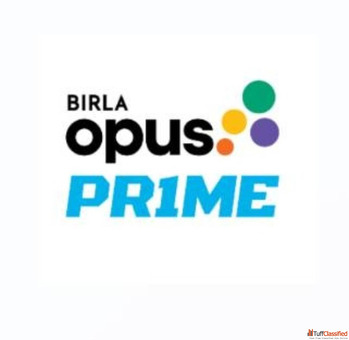 Office Wall Colors - Birla Opus Prime Interior Paints