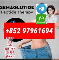 semaglutide910463-68-2 sema99purity