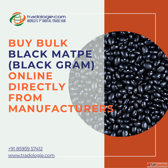 Buy Bulk Black Matpe Black Gram Online Directly From Manufacturers