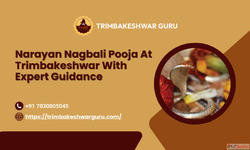 Narayan Nagbali Pooja at Trimbakeshwar with Expert Guidance