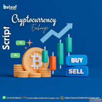 Build Your Crypto Exchange Today - The Script That Simplifie...