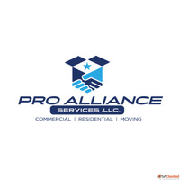 Pro Alliance Services LLC