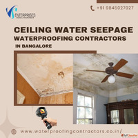Ceiling water Seepage Waterproofing Contractor near Bangalor...