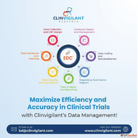 End-to-End Clinical Data Management Services for Global Tria...
