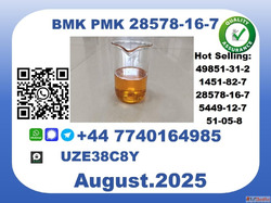 BMK PMK factoryCAS 28578-16-7 worldwide safefast delivery