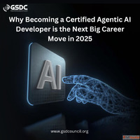 Why Becoming a Certified Agentic AI Developer is the Next Bi...