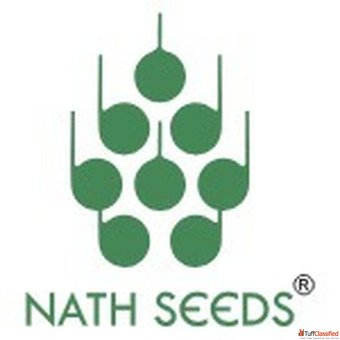 Best Okra Seeds - Nath Bio Genes