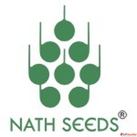Best Okra Seeds - Nath Bio Genes