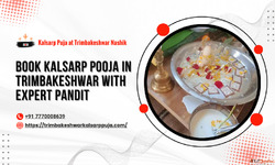 Book Kalsarp Pooja In Trimbakeshwar With Expert Pandit