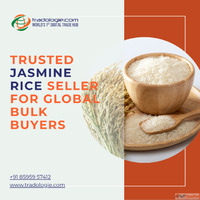Trusted Jasmine Rice Seller for Global Bulk Buyers
