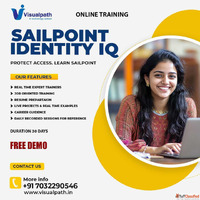 Professional SailPoint Online Training 2025 Visualpath