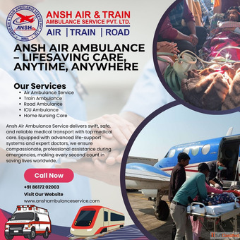 Pilots Are Expertise - Ansh Air Ambulance Services In Dimapur - Maintains Fastness