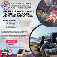 Pilots Are Expertise - Ansh Air Ambulance Services In Dimapu...