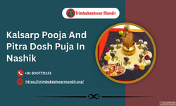 Kalsarp Pooja And Pitra Dosh Puja In Nashik