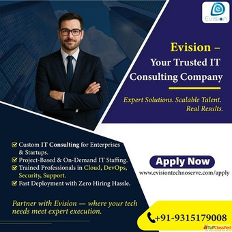 Looking for the Right IT Consulting Partner - Evision Technoserve