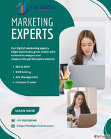 SEO Agency in Ghaziabad