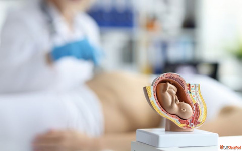 How Does A Cryopreservation Facility Benefit Individuals Undergoing Fertility Treatment