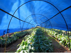 HDPE Waterproof Tarpaulin in India Arora Polymers