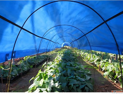 Plastic Tarpaulin in Delhi - arora polymers
