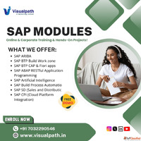 SAP All Modules Training Online and Corporate at Visualpath